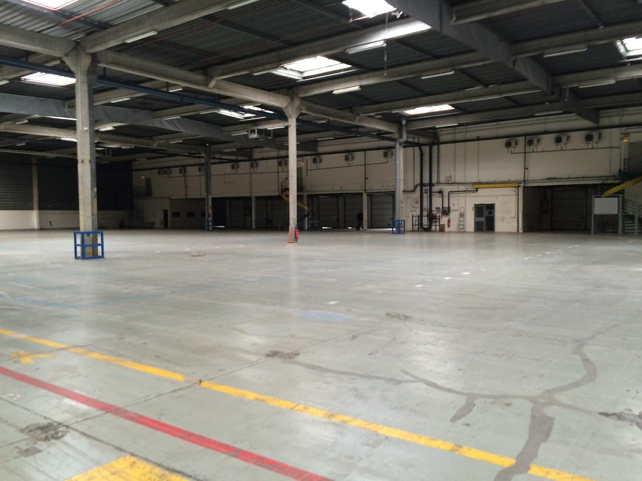 Entrepôt Wissous 2725m² Location entrepôt Wissous Essonne OLLOG2529405 4